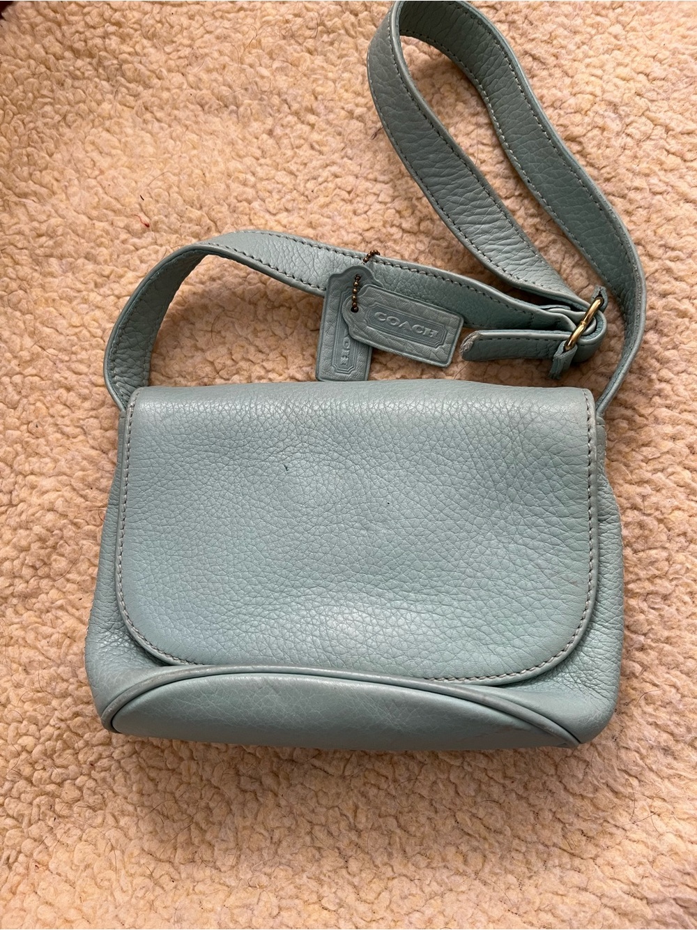 Coach Pebbled Leather Crossbody Bag in Pale Blue-Green